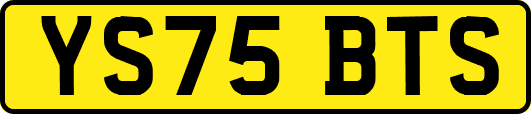 YS75BTS