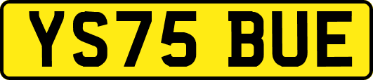 YS75BUE
