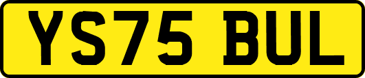 YS75BUL