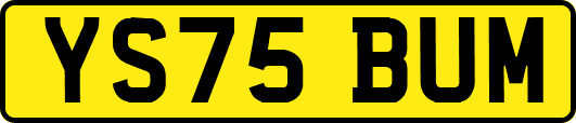 YS75BUM
