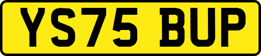 YS75BUP