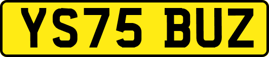 YS75BUZ