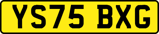 YS75BXG