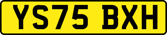 YS75BXH