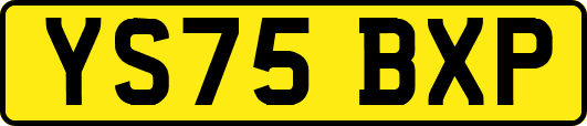 YS75BXP