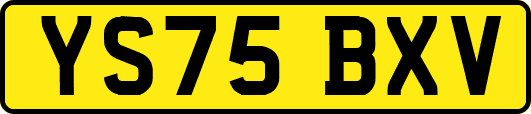 YS75BXV