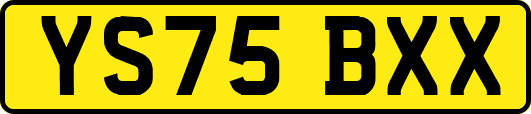 YS75BXX