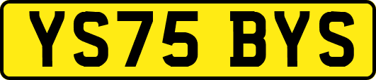 YS75BYS