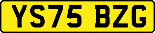 YS75BZG