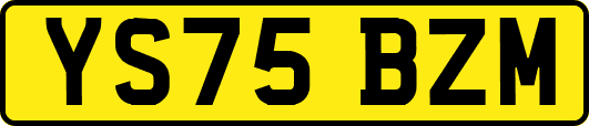 YS75BZM