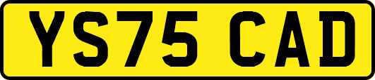 YS75CAD
