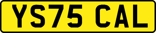 YS75CAL