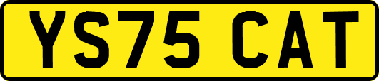 YS75CAT