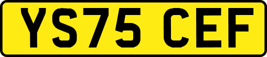 YS75CEF