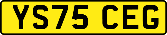 YS75CEG