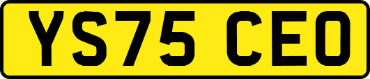 YS75CEO