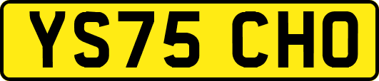 YS75CHO