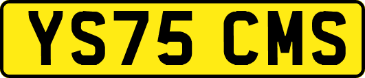 YS75CMS