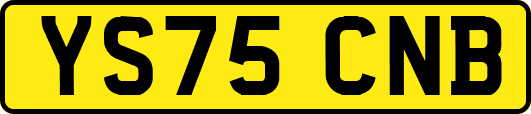 YS75CNB