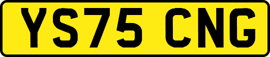 YS75CNG