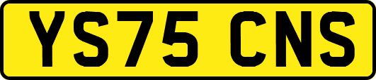 YS75CNS