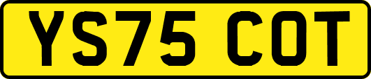 YS75COT
