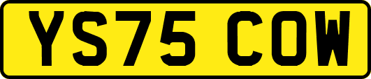 YS75COW