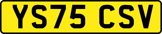 YS75CSV