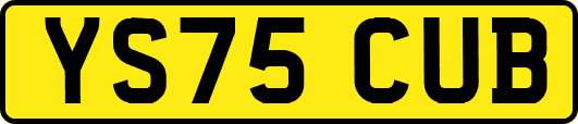 YS75CUB