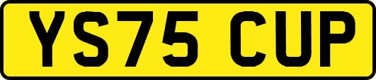 YS75CUP
