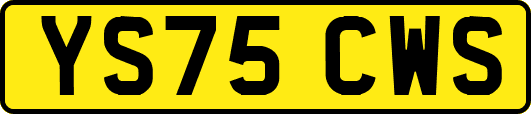 YS75CWS