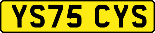 YS75CYS