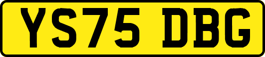 YS75DBG