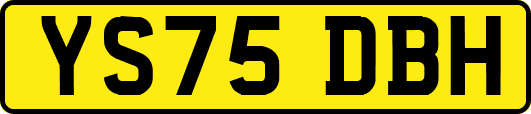 YS75DBH