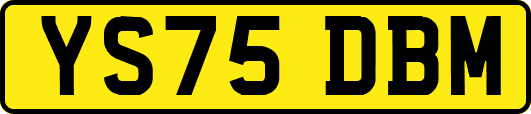 YS75DBM