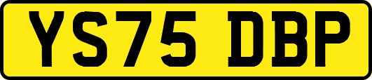 YS75DBP