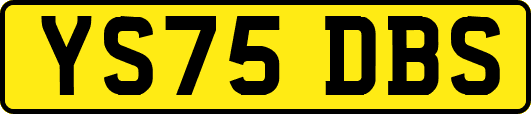 YS75DBS
