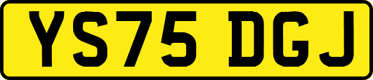 YS75DGJ
