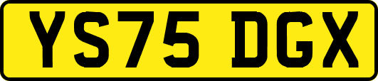 YS75DGX