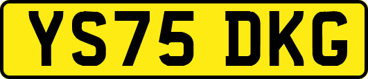 YS75DKG