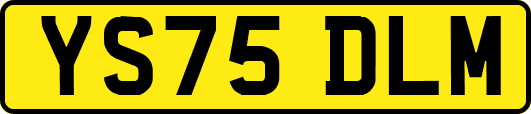 YS75DLM