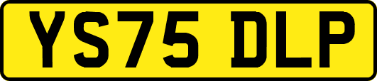 YS75DLP