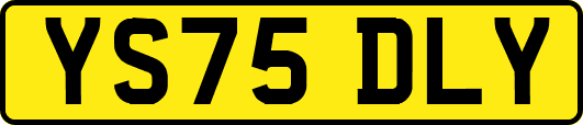 YS75DLY