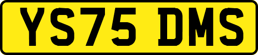YS75DMS