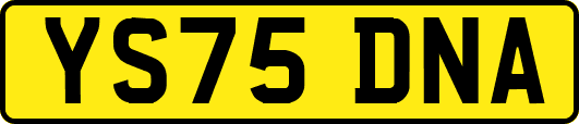 YS75DNA