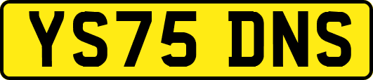 YS75DNS