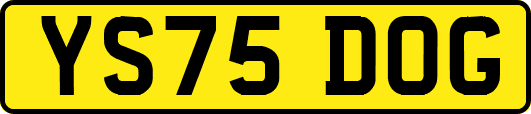 YS75DOG