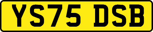 YS75DSB