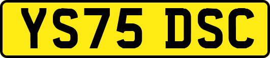 YS75DSC