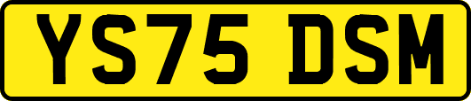 YS75DSM